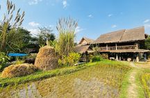 Rice is Life Experience & Kuang Si Waterfall - Luang Prabang full day tour