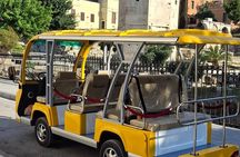 Athens Private City Tour