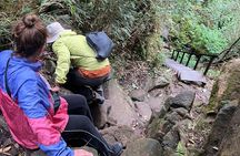 Sapa: Fansipan Trek with Overnight Option (1 to 2 Days)