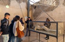 Naples: Pompeii & Mt Vesuvius All-Inclusive Small Group w/ Lunch