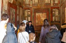 Naples: Pompeii & Mt Vesuvius All-Inclusive Small Group w/ Lunch