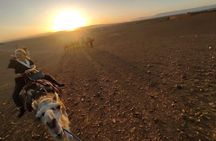 2 Day Desert Tour From Marrakech To Zagora Marrakech Desert Tours