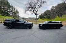 Wine Tours for 6 Hours and Private Transportation Services 