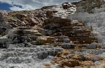 Yellowstone Private Tour