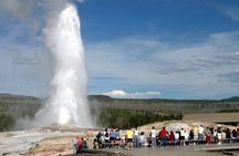 Yellowstone Private Tour