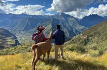 the best sacred valley tour: walk with Alpacas,culture experience