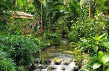 blue hole and luxury bamboo rafting 