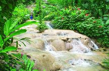 Ocho Rios Private Guided Tour with Transportation
