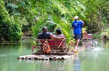 Ocho Rios Private Guided Tour with Transportation