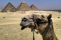 Private Half Day Tour Giza Pyramids and Sphinx 