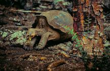 5 Days Tour to Explore Santa Cruz ,Isabela and Santa Fe Galapagos