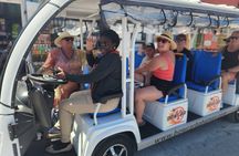 Electric Bus tour of Nassau with sampling of local food & drinks