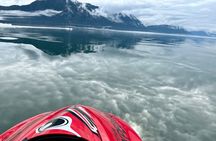 Juneau Jetski & Whale Adventure 