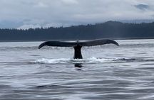 Juneau Jetski & Whale Adventure 