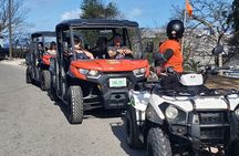 Nassau Narrated Jeep tour with Full Bahamian Lunch and Drink 