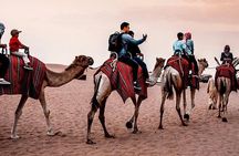 Evening Desert Safari Dubai with Quad Bike Camel Ride and BBQ