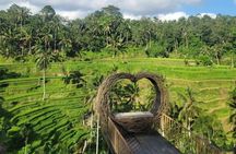 Bali Swing, Ubud Monkey Forest & Waterfall Private Day Tour