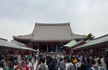 Tokyo Private Half-Day Tour by Car with Local Guide