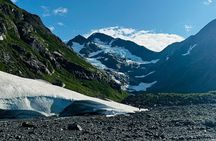 Private Wildlife, Glacier & Gold Panning (Panoramic Van – Max 9)