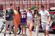 Jaipur Private Day Tour from Delhi - All inclusive 