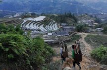 Sapa Cultural Trek with Homestay Options 1 to 3 Days
