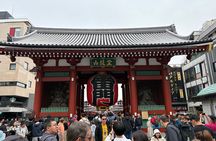 Tokyo Private Half-Day Tour by Car with Local Guide