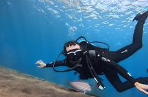 Diving experience in Tenerife