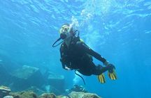 Diving experience in Tenerife