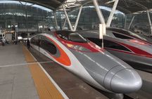Day Tour to Shenzhen from Hong Kong by High Speed Bullet Train