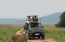 Kigali to Akagera National Park