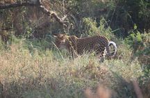 Kigali to Akagera National Park