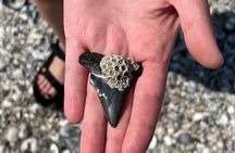 Guided Fossil Excursion with an Experienced Local