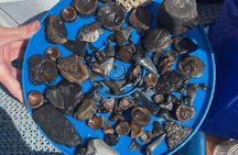Guided Fossil Excursion with an Experienced Local