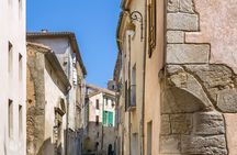 Best Intro to Narbonne in 2 hours with a Local