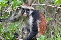 Jozani Forest ,Kuza Cave,Paje beach&the Rock Private Tour