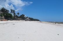 Jozani Forest ,Kuza Cave,Paje beach&the Rock Private Tour