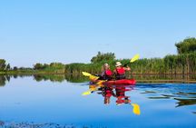 St. Augustine Wildlife Adventure: Boat Cruise & Kayak Eco Tour