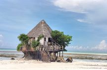 Jozani Forest ,Kuza Cave,Paje beach&the Rock Private Tour