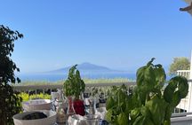 Pizza School with Nino overlooking Vesuvius in Sorrento