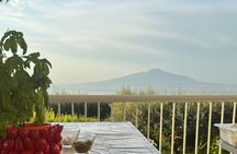 Pizza School with Nino overlooking Vesuvius in Sorrento