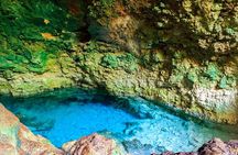 Jozani Forest ,Kuza Cave,Paje beach&the Rock Private Tour