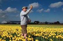 Amsterdam: Day trip to Tulip Farm, Keukenhof + Windmill Cruise