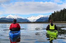 Juneau Small Group Sea Kayaking with Mendenhall Glacier Views