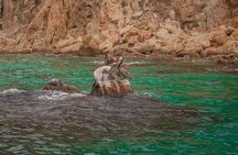 Boat Tour Snorkeling Tour with Guide, Drinks and Fruit