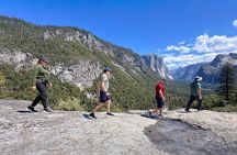 Ultimate Yosemite: Private Tour + Lunch