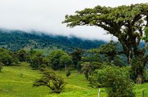 Poas Coffee tour, La Paz Falls and Poas Volcano