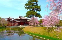 Slow Cycling Tour at Uji's Matcha Green Tea Fields and Heritage