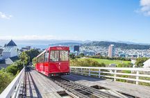 PRIVATE Wellington Half Day Tour including Cable Car