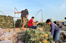 Can Tho: Floating Market, Canals, Nature Reserve & Forest