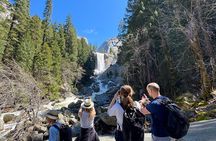 Ultimate Yosemite: Private Tour + Lunch